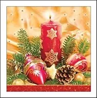 Салфетки Daisy НГ 33*33*3сл. 20шт SDGW003101