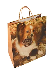 Сумка бум. с тисн. 18 больш. (Дом современной упаковки)