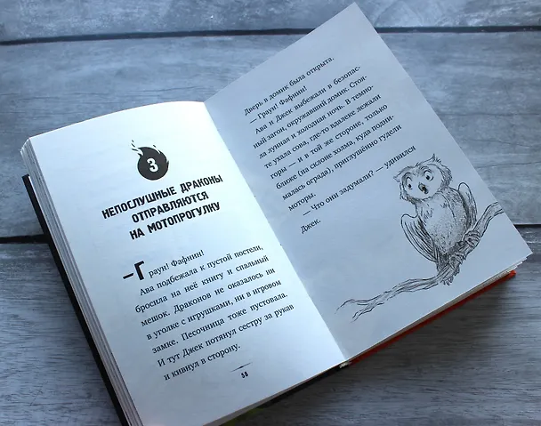 Книга Как воспитать дракона? (Н. Прайор) — 7