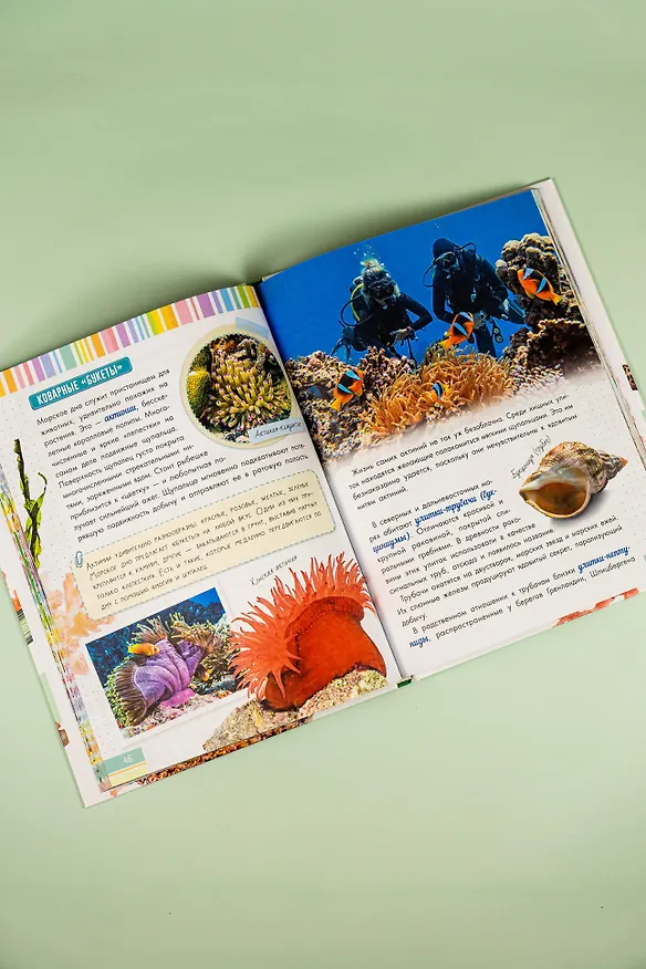 Книга Моллюски, кораллы, морские звезды, морские ежи (Александр Тихонов) — 9