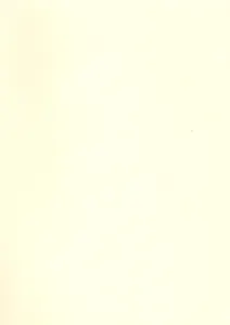 Бумага для пастели А4 "Mi-Teintes" 160г/м2 №101 бледно-желтый, Canson