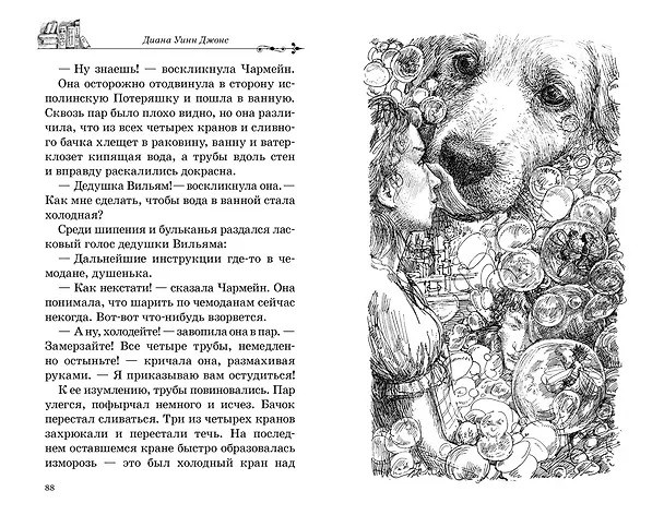 Книга Дом с характером (Диана Джонс) — 11