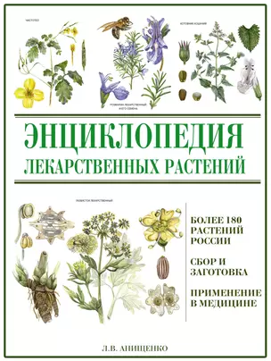 Энциклопедия лекарственных растений — 2613698 — 1