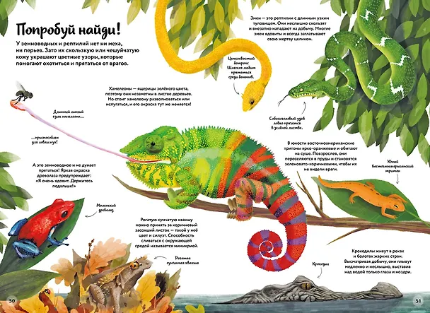Книга Большая книга о природе в картинках (Камилла де ла Бедуайер) — 7