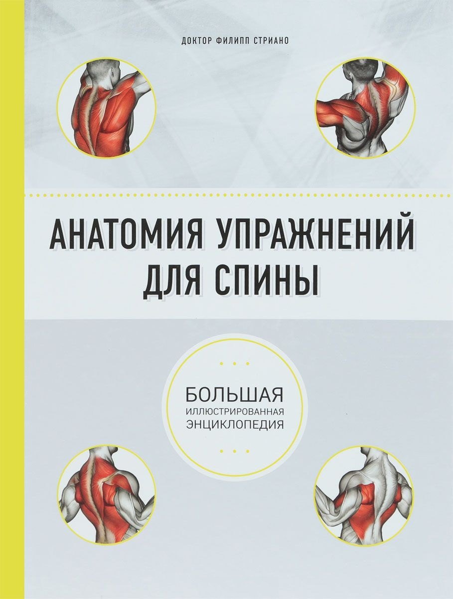 

Анатомия упражнений для спины (2-е изд.)