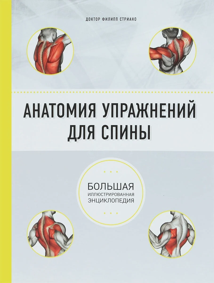 Анатомия упражнений для спины. 2-е издание (Филипп Стриано) - купить книгу  с доставкой в интернет-магазине «Читай-город». ISBN: 978-5-04-090411-2