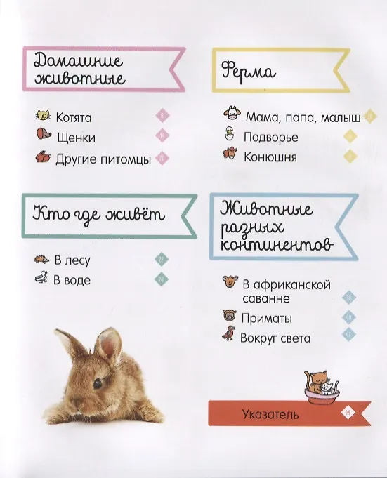 Книга Зверята. Фотокнига () — 6