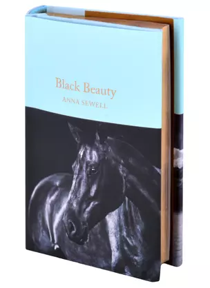 Black Beauty — 2872044 — 1