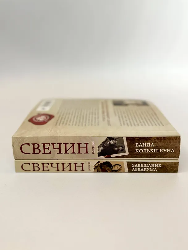 Книга Завещание Аввакума + Банда Кольки-куна (Николай Свечин) — 6