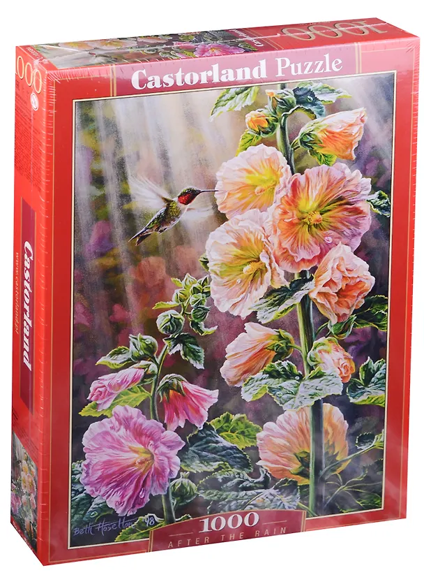 Пазл Castorland 1000 эл. 68*47см. После дождя C-103584 2585670 — 3