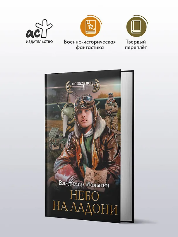 Книга Небо на ладони (Владимир Малыгин) — 4