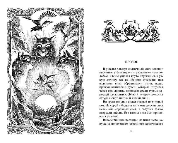 Книга Ослепление (Эрин Хантер) — 2