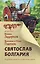 Святослав. Болгария. Подробное жизнеописание князя-воина — 2862902 — 1