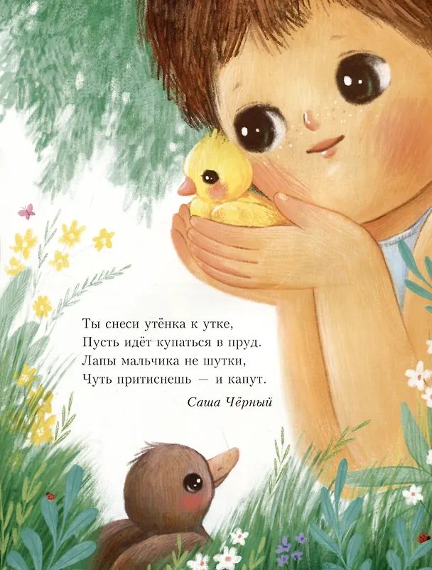 Книга Разве не чудо? Русские поэты для детей () — 5