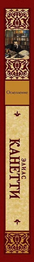 Книга Ослепление (Элиас Канетти) — 3
