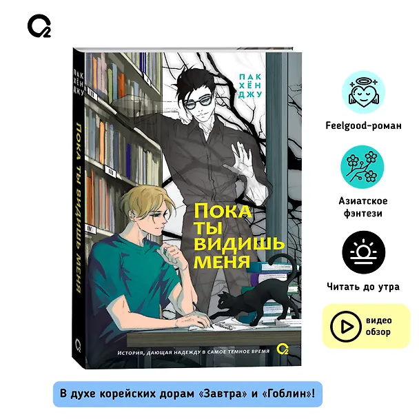 Книга Пока ты видишь меня (Пак Хён Джу) — 4