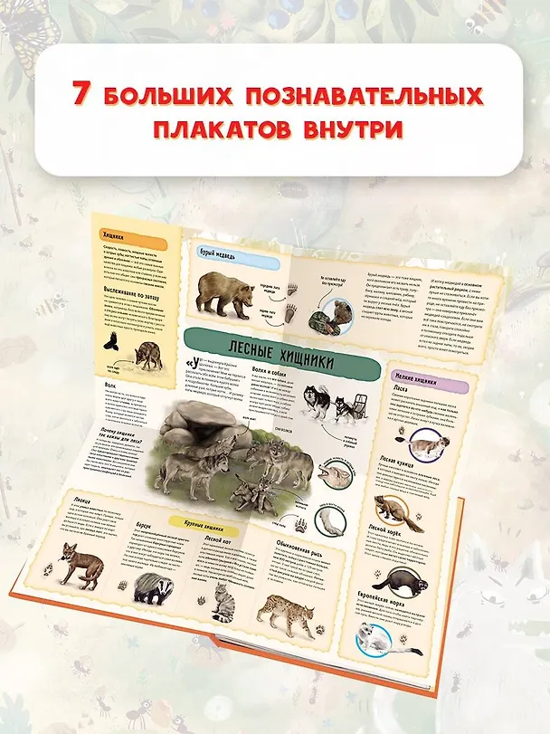 Книга Красная шапочка (Яна Седлачкова) — 7