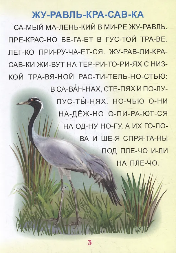 Книга Читаем по слогам. Крупные буквы. Читалочки-познавалочки. Рассказы: слоговой тренажер () — 3