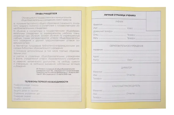 Дневник школьный «Черный котик», для младших классов, Listoff 3090493 — 2