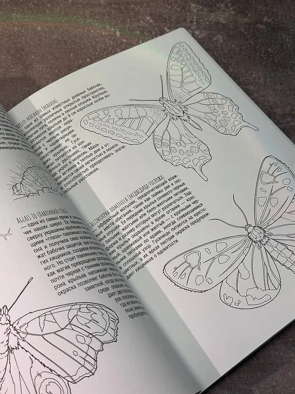 Книга Бабочки и другие насекомые (Сергей Быковский) — 7