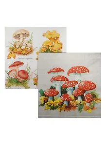 Набор для творчества, Набор салфеток для декупажа, Грибы (4044 О/0371 И) (6/900002505859)