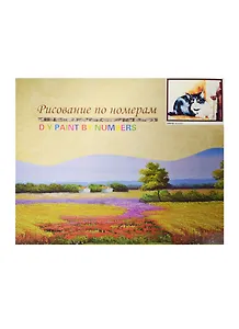 Набор для раскрашивания по номерам (GX6163) (7706703) (40х50см) (коробка)