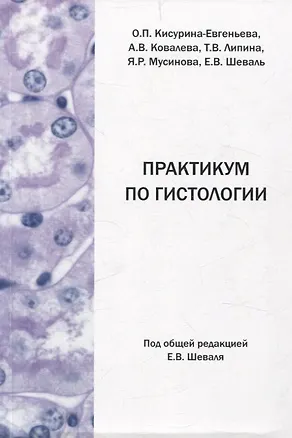 Книга Практикум по гистологии ()