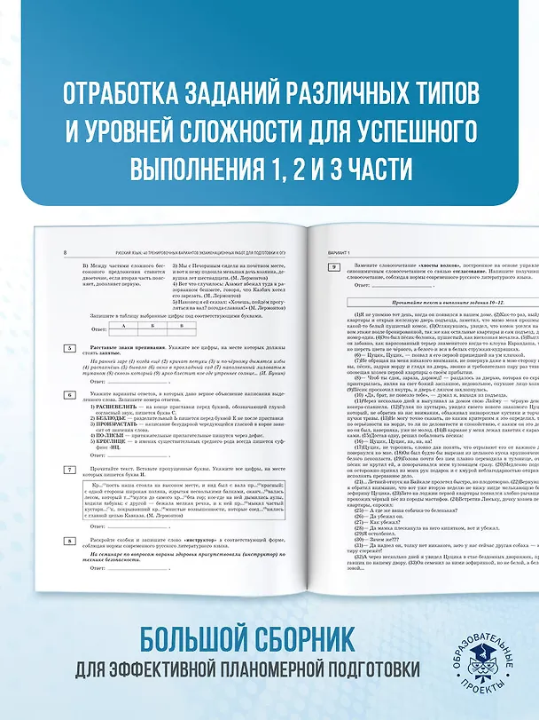 Книга ОГЭ-2026. Русский язык. 40 тренировочных вариантов экзаменационных работ для подготовки к основному государственному экзамену (Елена Симакова) — 8