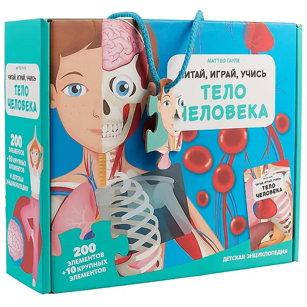 Тело человека 2643286 — 1