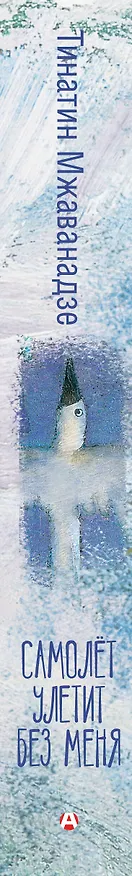 Книга Самолет улетит без меня (2-е изд.) (Тинатин Мжаванадзе) — 3