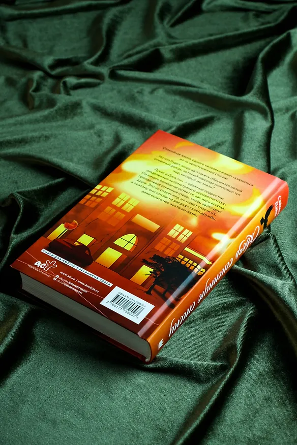Книга Сквозь огненную стену (Саймон Пайнс) — 9