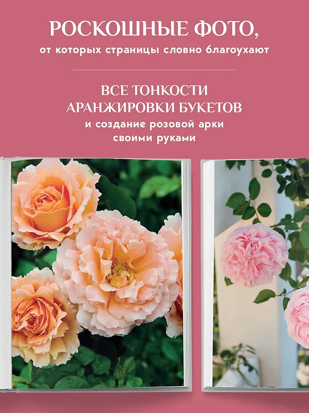 Книга Садовые розы. Полное руководство по выращиванию, уходу и созданию потрясающих букетов (Грейсилинда Полсон) — 11