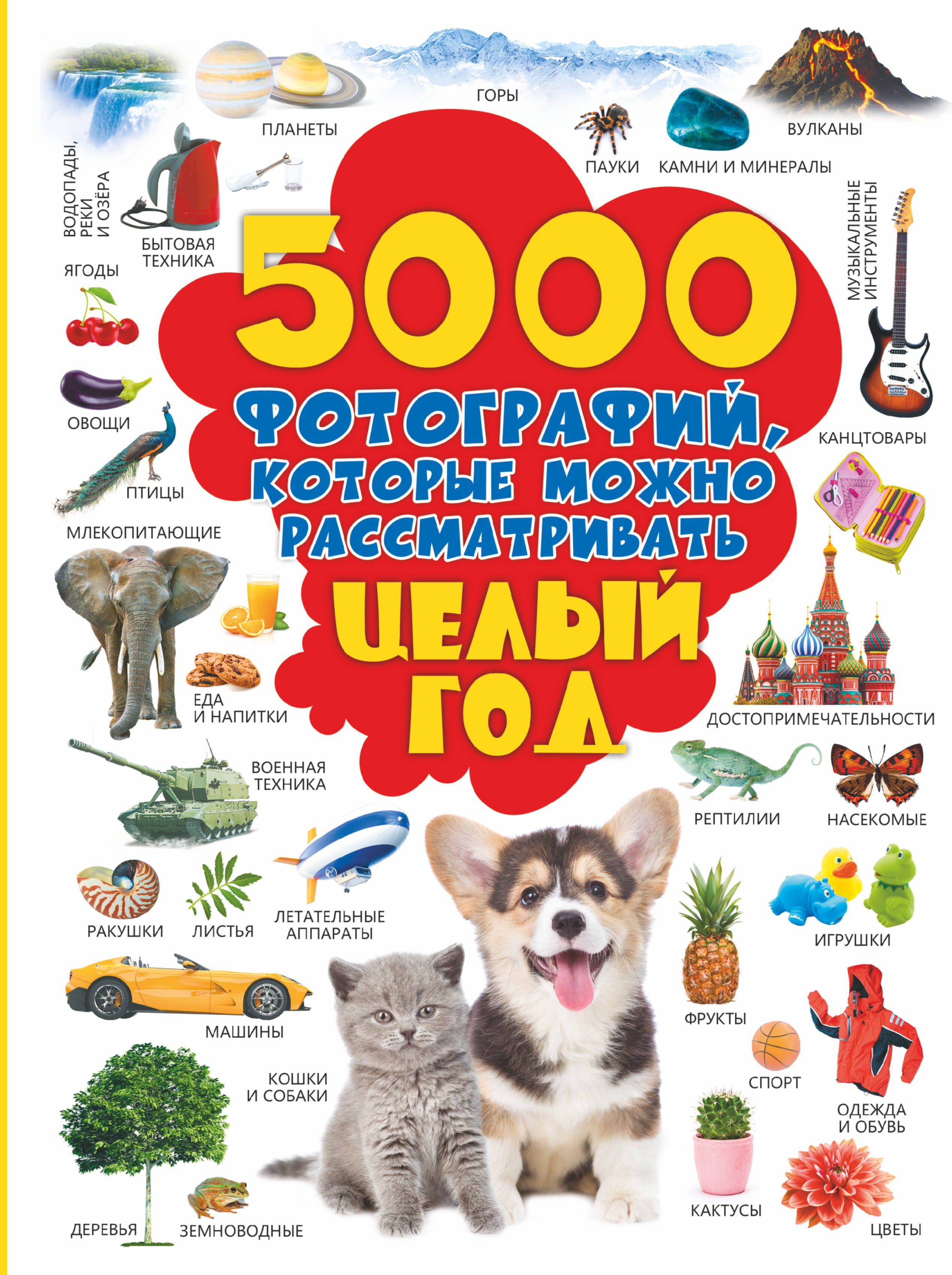 

5000 фотографий, которые можно рассматривать целый год