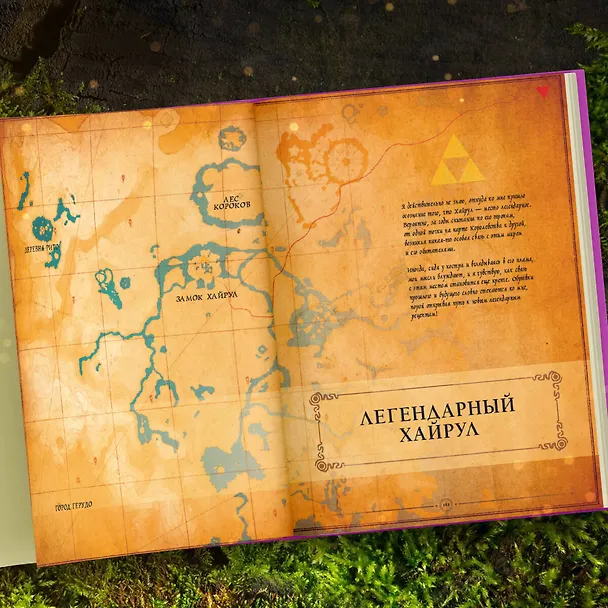 Книга Zelda. Рецепты, вдохновленные легендарной сагой. Неофициальная кулинарная книга (Тибо Вилланова) — 12