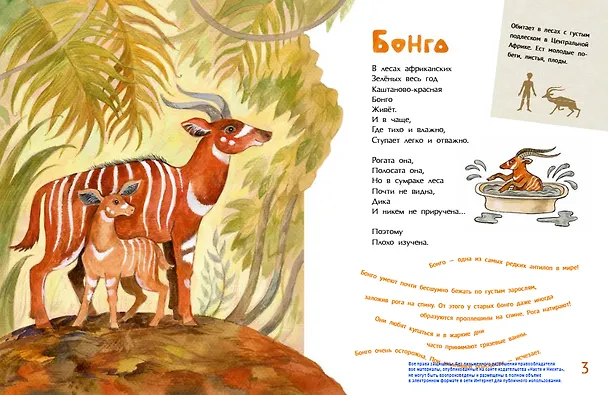 Книга Необыкновенные звери (Дарья Герасимова) — 2