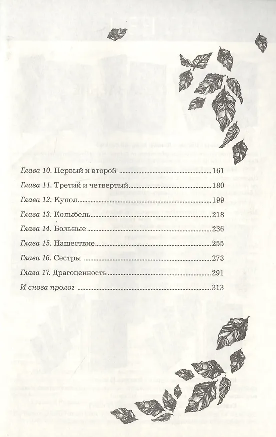 Книга Анима. Медная чайка (Екатерина Соболь) — 3