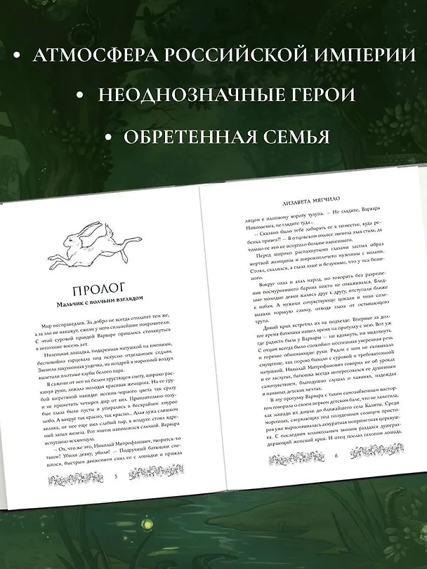 Книга Брусничное Солнце (Лизавета Мягчило) — 7