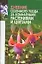 Дневник сезонного ухода за комнатными растениями — 1897880 — 1