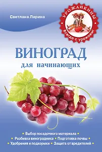 Виноград для начинающих
