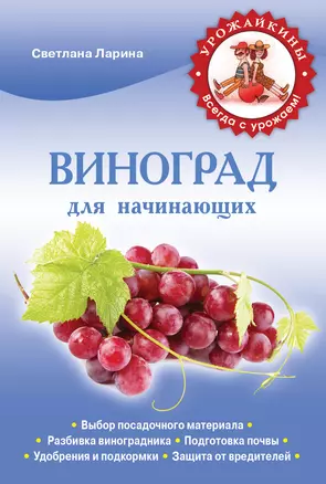 Виноград для начинающих — 2348048 — 1