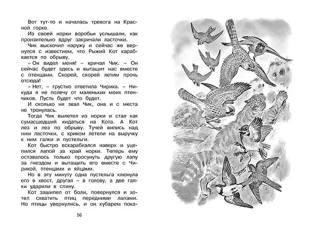 Книга Как Лис Ежа перехитрил (Виталий Бианки) — 11