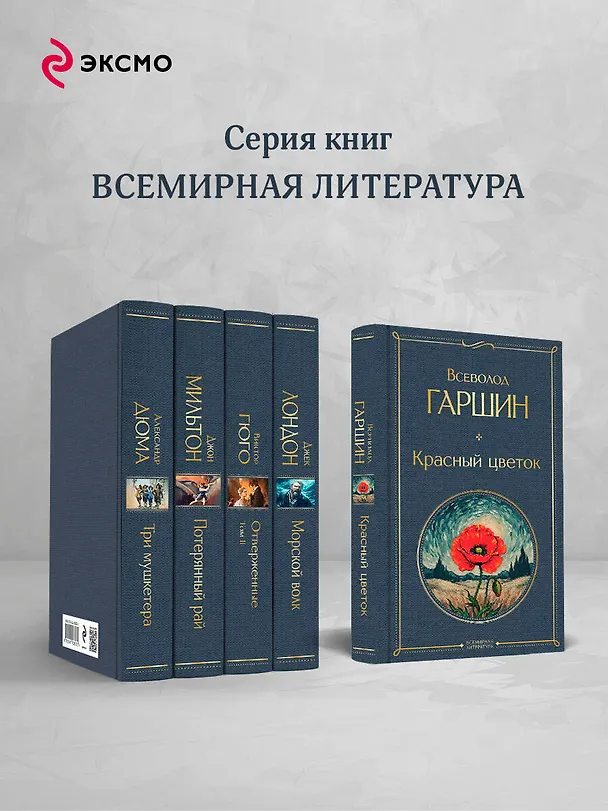 Книга Красный цветок (Всеволод Гаршин) — 7
