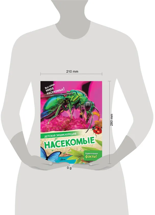 Книга Насекомые () — 8