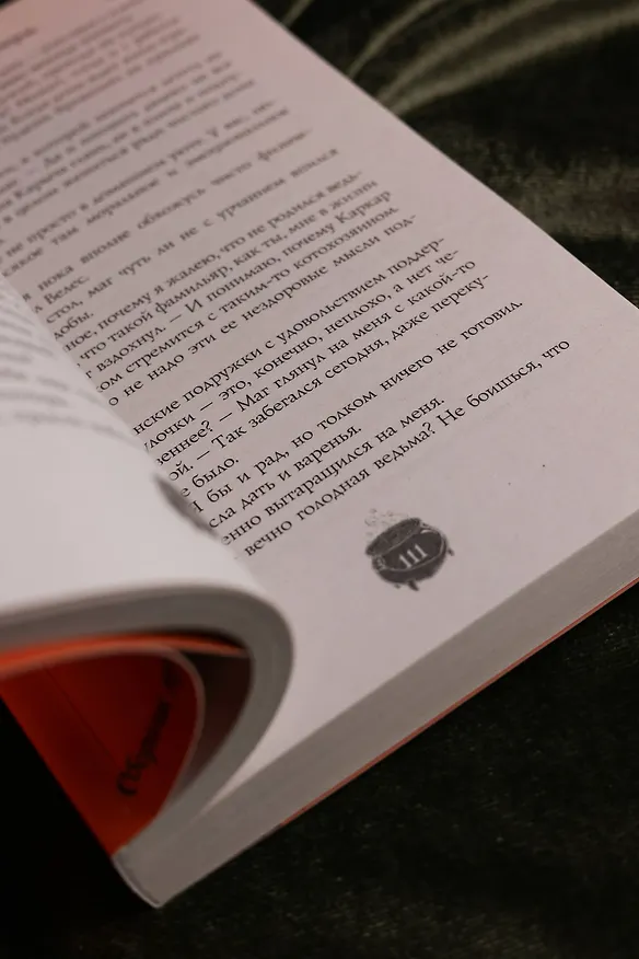 Книга Замурчательное фэнтези (Марина Ефиминюк, Маргарита Гришаева, Наталья Мамлеева, Милена Завойчинская, Наталья Косухина, Рина Ских, Галина Герасимова, Маргарита Ардо) — 13