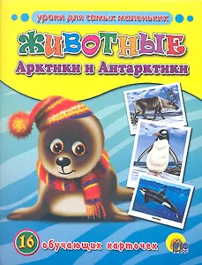 Животные Арктики и Антарктики