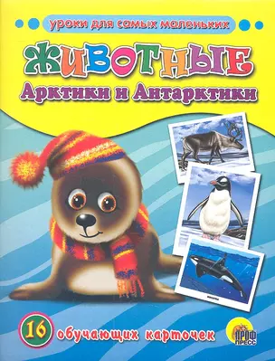 Животные Арктики и Антарктики — 2318654 — 1