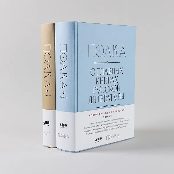 Книга [Тома 3, 4] Полка: О главных книгах русской литературы (Варвара Бабицкая, Михаил Велижев, Виктория Гендлина) — 2