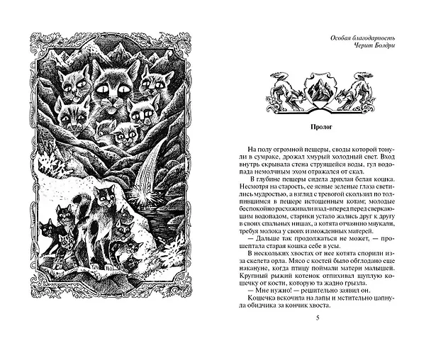 Книга Солнечный путь (Эрин Хантер) — 2