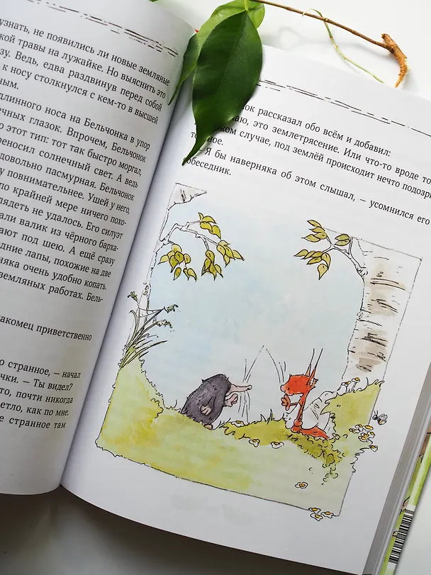 Книга Бельчонок, Медведь и охапка приключений. Повесть (Андреас Х. Шмахтл) — 11