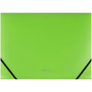 Папка на резинках «Neon», 12 отделений, Erich Krause, А4